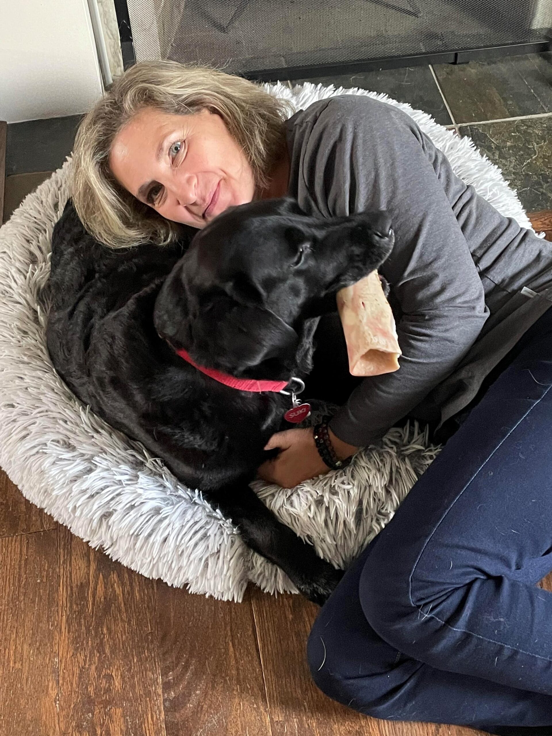 Dog Sitting in Mississauga Dog Walker Wanted